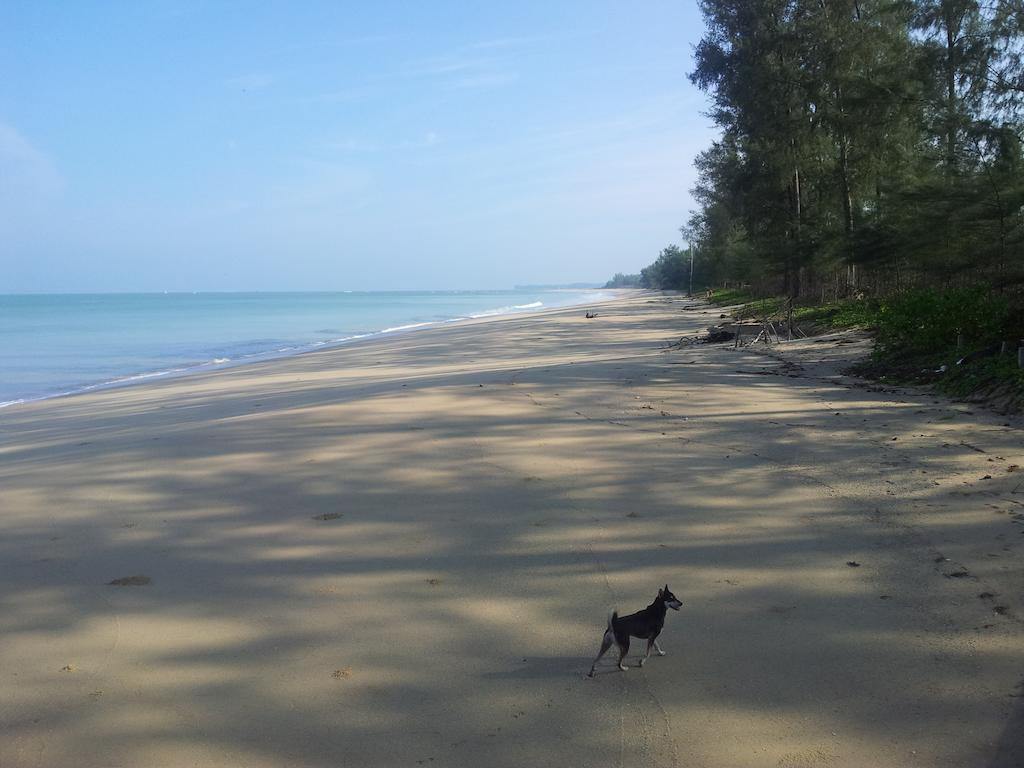 Living Room Apartments Bang Lut Beach Khaolak Bang Sak Room photo